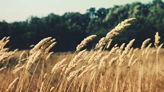 专业技术保障的免费ddos攻击网页端