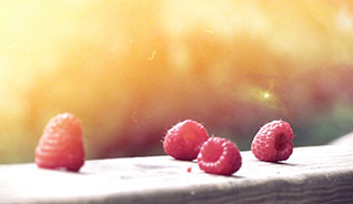 高可用企业级的网站攻击软件